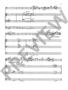 Variationen über ein Thema von Liszt Wk 249 von Wolfgang Stockmeier für Violoncello und Orgel im Alle Noten Shop kaufen