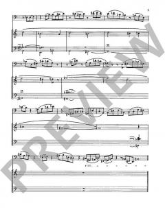 Variationen über ein Thema von Liszt Wk 249 von Wolfgang Stockmeier für Violoncello und Orgel im Alle Noten Shop kaufen