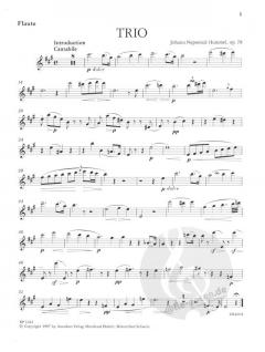 Trio op. 78 (Johann Nepomuk Hummel) 