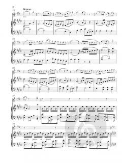 7. Concerto in e-moll von François Devienne für Flöte und Orchester im Alle Noten Shop kaufen