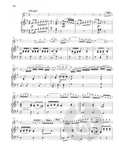 7. Concerto in e-moll von François Devienne für Flöte und Orchester im Alle Noten Shop kaufen
