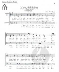 Maria dich lieben (Albert Kupp) 