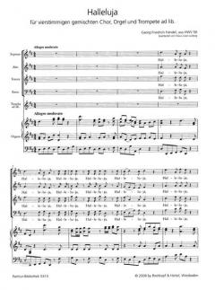 Halleluja aus 'Der Messias' HWV 56 (Georg Friedrich Händel) 