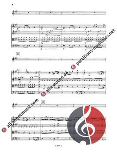 Primo Concerto in La Maggiore op. 30 (Mauro Giuliani) 