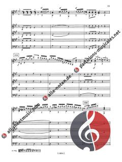 Primo Concerto in La Maggiore op. 30 (Mauro Giuliani) 