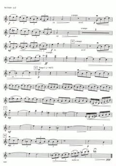 Mist von John Caponegro (Download) 