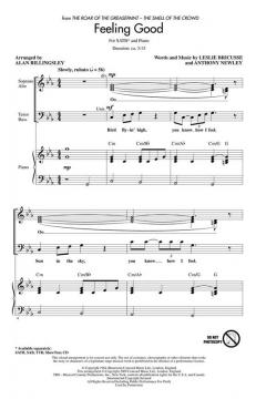 Feeling Good (Michael Bublé) 