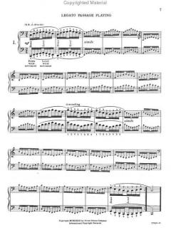 The Robyn-Hanon for the Piano von Louise Robyn 