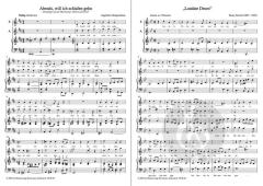 Besinnliche Musik' 