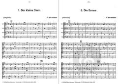 Der kleine Stern von Johannes Bornmann 