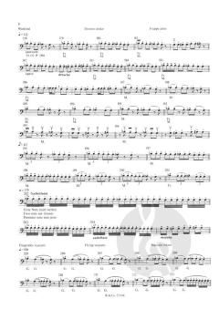 Bogenstudien für Kontrabass op. 2 von Otakar Ševčík im Alle Noten Shop kaufen