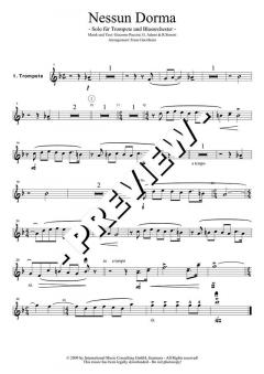 Nessun Dorma (André Carol) 