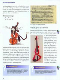 Musikinstrumente entdecken: Die Violine von Bianka Wüstehube 