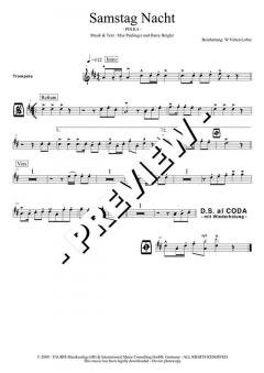 Samstag Nacht - DOWNLOAD von Max Paulinger (Download) 