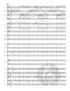 Danzón No. 2 von Arturo Marquez 
