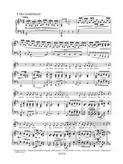 Winterreise op. 89 D 911 von Franz Schubert 