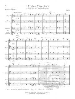 Chamber Music for Three Woodwinds Vol. 2 für Holzbläser Trio im Alle Noten Shop kaufen
