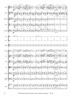 Die Unvollendete von Franz Schubert 