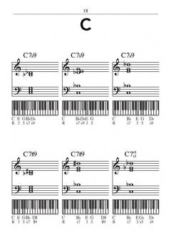 Hal Leonard Pocket Piano Chord Dictionary von Andrew DuBrock 