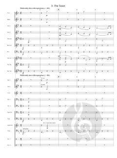 Carnival Of The Animals (Camille Saint-Saëns) 