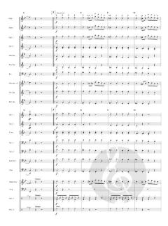 Carnival Of The Animals (Camille Saint-Saëns) 