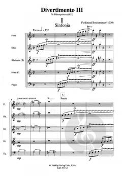 Divertimento (Ferdinand Bruckmann) 