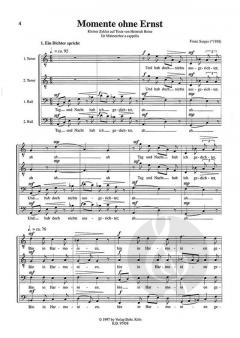 Momente ohne Ernst (Franz Surges) 