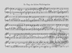 Schlichte Weisen Heft 1/2 von Albrecht Rosenstengel 