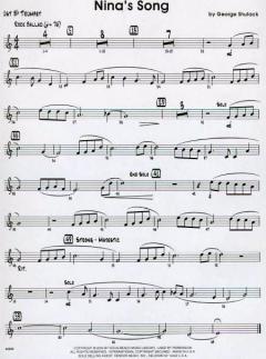 Nina's Song von George Shutack 