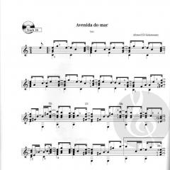 Brazilian Guitar 