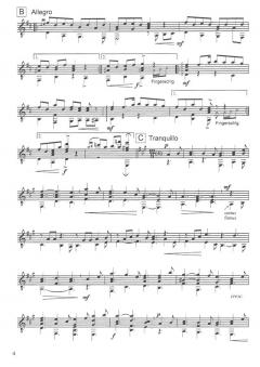 Irish Suite von Karl Haus 