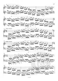 Technische Studien 2 / Technical Studies von Franz Liszt 