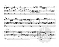 Ausgewählte Orgelwerke 1 von Johann Pachelbel (Download) 