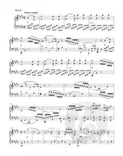 Kleine Tanzmusiken meist (Download) 