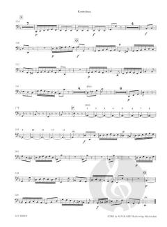 Konzert in d-Moll BWV 1056 (J.S. Bach) 