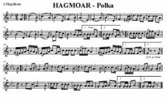 Hagmoar-Polka (Tanzlmusi) 