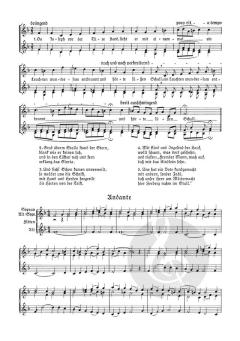 Die Weihnachtsgeschichte von Christian Lahusen (Download) 