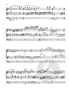 Zehn Introduktionen für Orgel von Hermann Schroeder im Alle Noten Shop kaufen