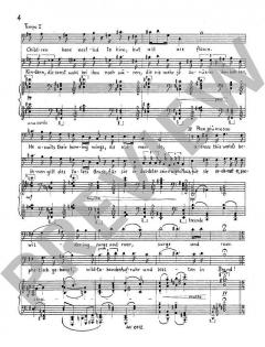 Rembrands Bildnis eines Rabbi op. 52 A von Wilhelm Rettich 