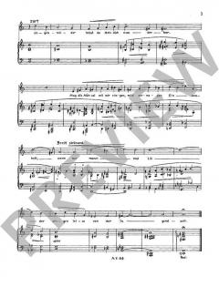 2 Lieder von Hans-Klaus Langer 
