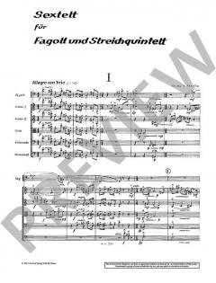 Sextett für Fagott und Streichquintett (Grete von Zieritz) 