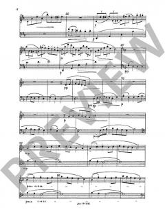 Musetta op. 50 Nr. 3F von Wilhelm Rettich für Holzbläser Duo im Alle Noten Shop kaufen