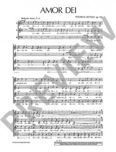 Amor dei (Wilhelm Rettich) 