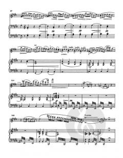 Violinkonzert cis-Moll von Franz Berwald (Download) 