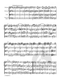 Sinfonie Nr. 30 D-Dur KV 202 (186b) von Wolfgang Amadeus Mozart (Download) 