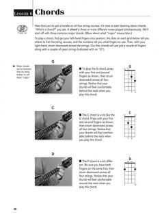 Play Mandolin Today! Level 1 von Douglas Baldwin im Alle Noten Shop kaufen