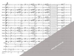 Poker Face von Lady Gaga (Download) 