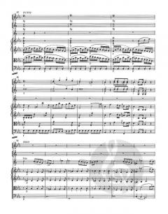 Konzert für Horn und Orchester KV 417 von Wolfgang Amadeus Mozart 