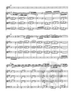Konzert für Oboe d'amore (Oboe) (J.S. Bach) 