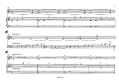 Licht und Schatten (Orgel 4ms) von Andres Uibo im Alle Noten Shop kaufen